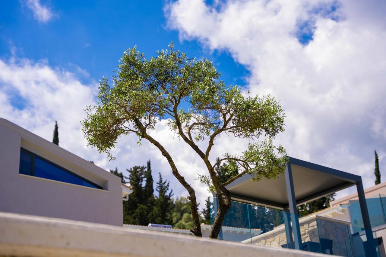 Dama Olga * Lygia (Lefkada)